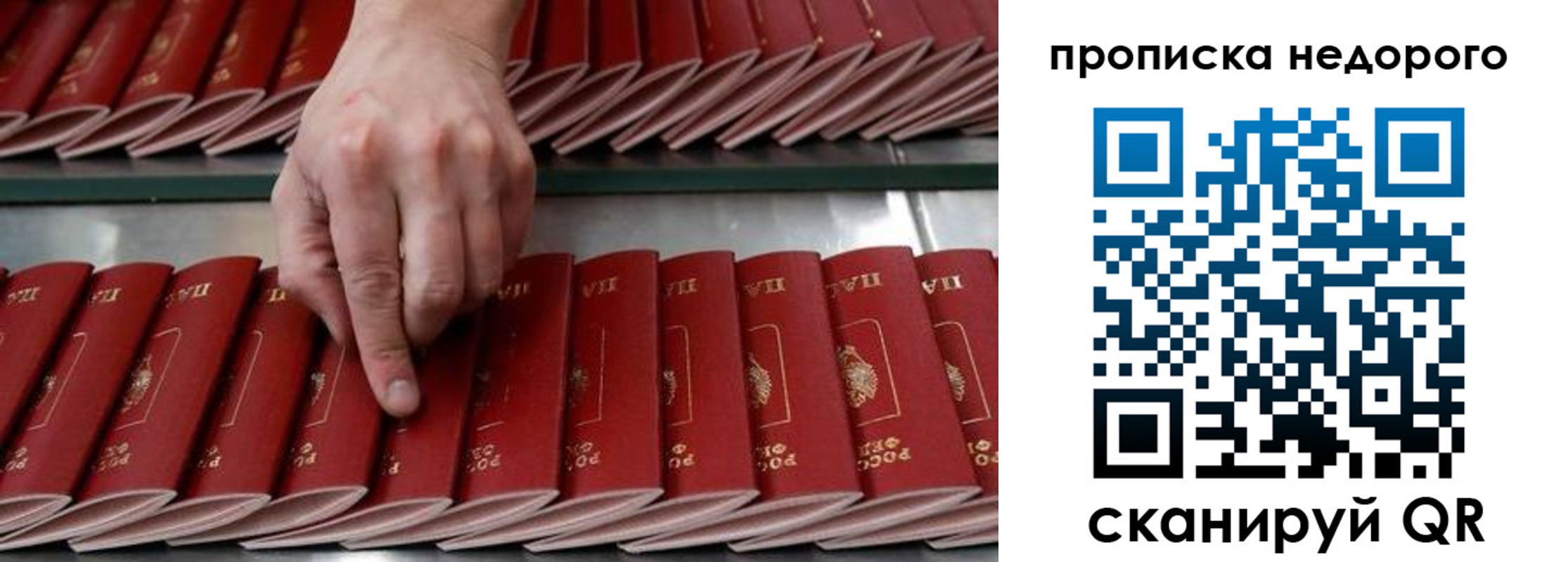 прописка регистрация в Белёве